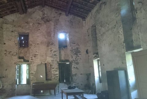 photo no. 12