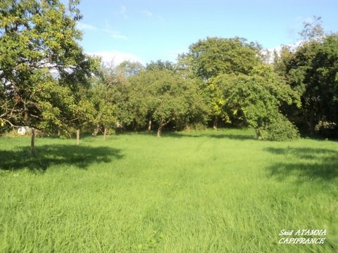 Dpt Vosges (88), à vendre à Domèvre sur Durbion, à 6km de THAON LES VOSGES, terrain constructible de 850m²