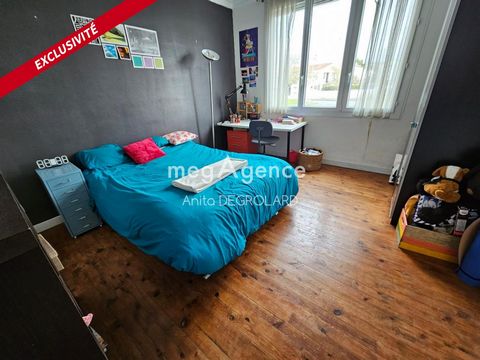 photo no. 8