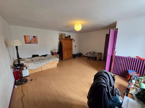 photo no. 15