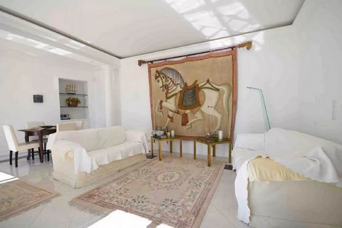 photo no. 12