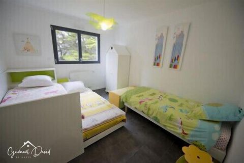 photo no. 11
