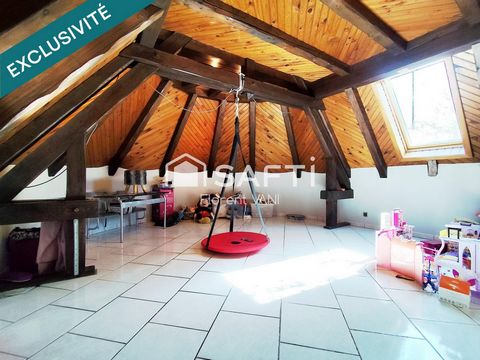 photo no. 11