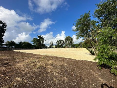 6 389m² De Terrain A Vendre - Lieu-Dit Surgy, Saint-Anne,Guadeloupe - Idéal Pour Habitation & Commerce