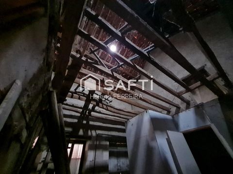 photo no. 6