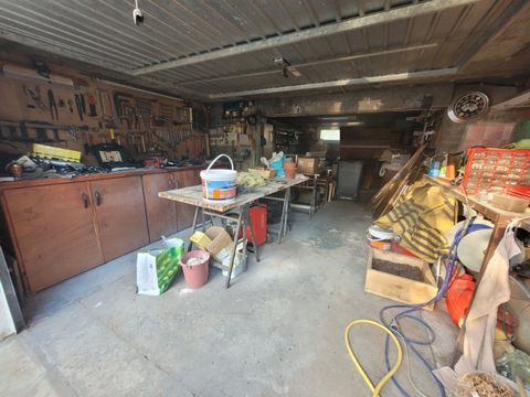 photo no. 16
