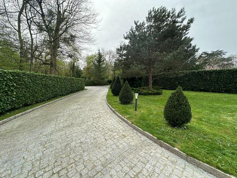 photo no. 16