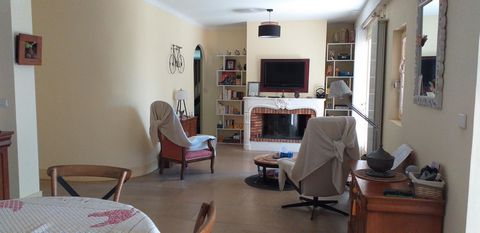 photo no. 10