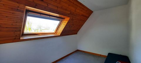 photo no. 6