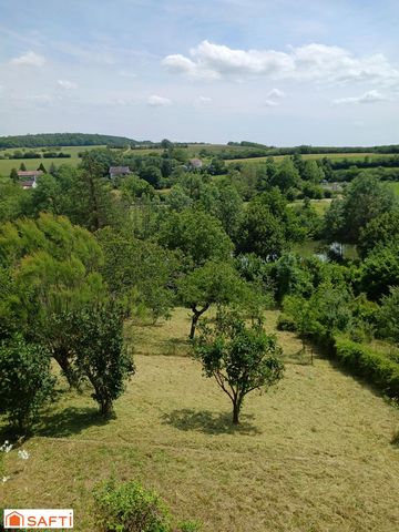 photo no. 11