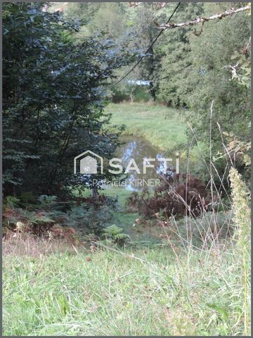 photo no. 10