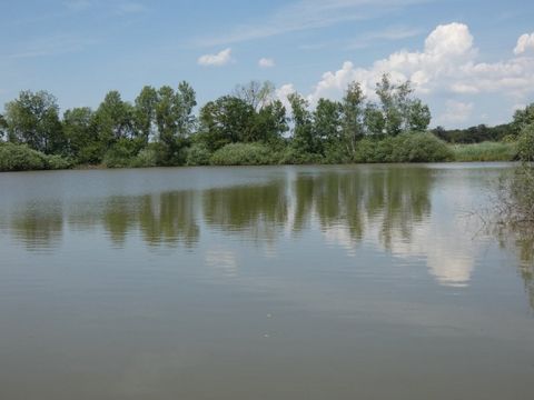 photo no. 6