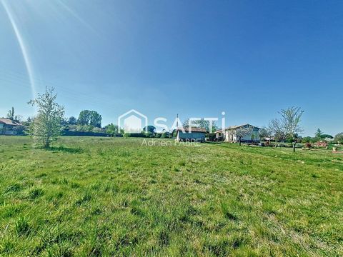 photo no. 2