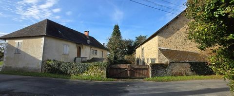 photo no. 2