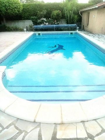 photo no. 8