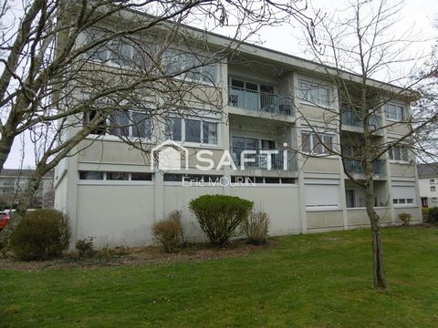photo no. 6