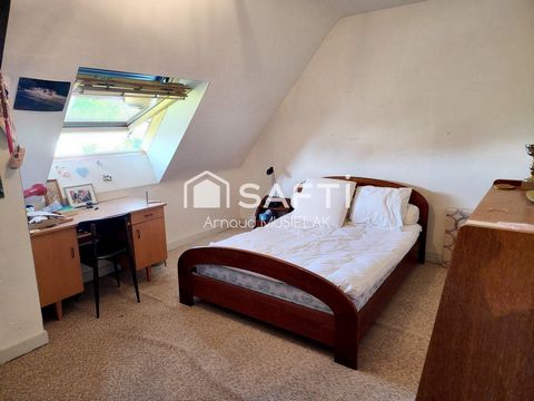 photo no. 10