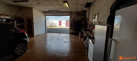 photo no. 14