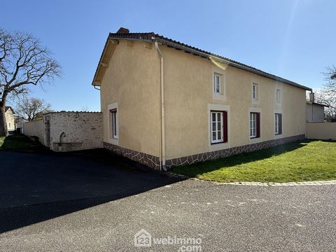 photo no. 19