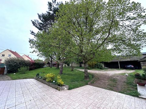 photo no. 10