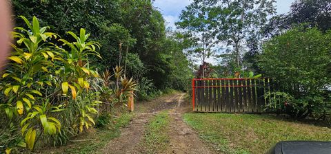 photo no. 11