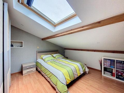 photo no. 13