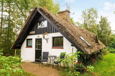 Holiday cottage with idyllic location. You have direct access to the terrace from the living room adjacent to a forest area. The living room has staircase to the mezzanine with 4 extra beds. There is a bedroom and a small bathroom. Open concept kitch...