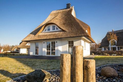 Arrive and feel good: New thatched roof house in an idyllic location on the lagoon, just 170 meters from the water. From sauna and fireplace to WiFi and satellite TV with Sky to comfortable box spring beds, you can enjoy every second of your holiday ...