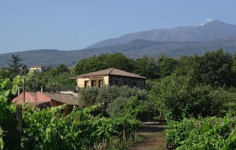 Small winery on the northern slope of Mount Etna with a total of eight high-quality semi-detached houses or apartments. The center of the complex is the Palmento, a former and completely restored farmhouse. Here is the reception, a restaurant and an ...