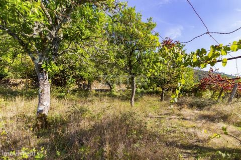 Property ID: ZMPT550259 Rustic land with 1,760 m2 on Rua Trás-de Cheda near the center of Britelo, Barca Bridge. This property consists of 3 articles with the following descriptions: - Arable culture, vines in ramada and 8 orange trees -Bush -Pasture...