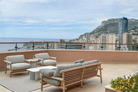 The Parc Saint Roman is a beautiful residence with luxury services such as a 24/7 concierge service, a swimming pool, a gym, a park with trees, a sauna, a solarium and a snack bar. This residence is close to the Monte-Carlo Beach, the Country Club co...