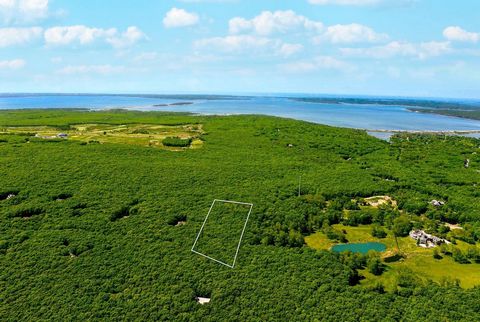 Once belonging to the preservationist pioneer Deloris Mulvihill Zebrowski, this 5.55-acre property borders a 61-acre nature preserve to the north. With primary and accessory allowable lot coverage of 12,090+- square feet, there is ample room for an e...