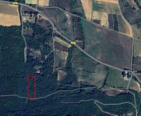 Haut Var, Esparron de Pallières. Ideal hunting station. Land of more than 3.850 m² non-buildable, wooded with oaks. Forestry Placement, As a result, there is an increase in the demand for hunting land to rent. Land on the edge of the GR 99 between Es...