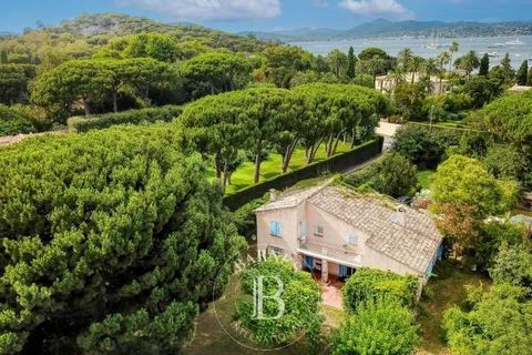 Situated just a few minutes' walk from the Canoubiers beach and a few minutes from the village of Saint-Tropez, this charming 150 m² house to renovate is set in 2000 m² of land. On two levels, it comprises an entrance hall, large living room, kitchen...