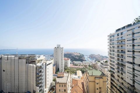 In a modern high-rise residence with stunning panoramic views of the sea and Monaco, you'll find this 4-room apartment with the potential for an additional bedroom. As you step inside, you're greeted by an elegant entrance foyer, inviting you to disc...