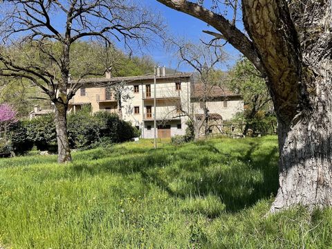 Immersed in the lush beauty of nature, here is a one-of-a-kind opportunity in Cerreto di Spoleto! This sumptuous property features a home that offers various opportunities, completely renovated and distributed on several levels. On the ground floor, ...