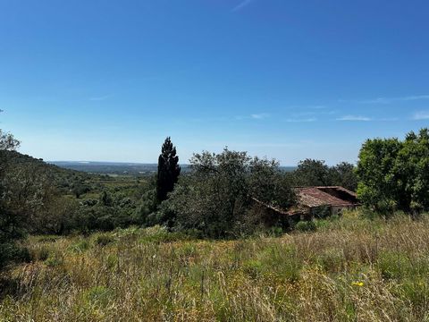 Mixed land with an area of 4080m2, with an approved project for the construction of a detached house with approximately 250m2. The land is located in the Monte Boi area, just a few minutes from the village of São Bartolomeu de Messines. Totally orien...