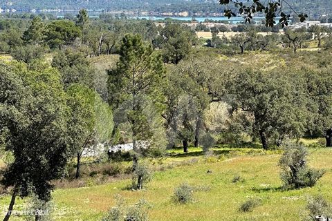 Fantastic land located 120 km from Lisbon, next to the Montargil dam. It has an area of 5.1ha (51,000m2), populated by cork oaks and pine trees, includes a ruin of 42 m2.