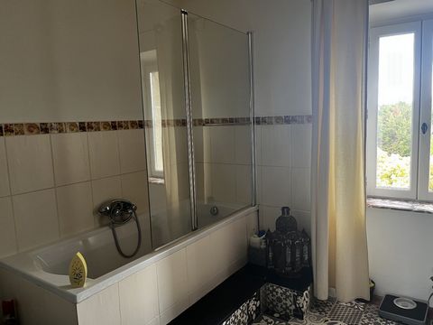 photo no. 17