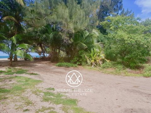 If you're in search of a premium beachfront property on the Placencia Peninsula, this exceptional parcel stands out as one of the finest options currently available in Placencia Village.   Placencia Village, situated at the end of the 16-mile-long pe...