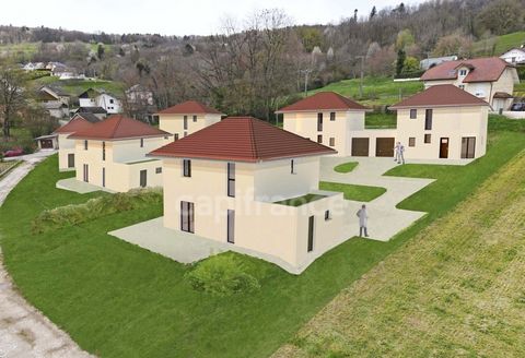 photo no. 2