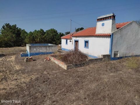 Seeing urban lot of 3555,50m2 with Typical Alentejo House of 2 rooms divisions, next to the Lagoa de Santo André, excellent location, overlooking the Lagoon. It allows to demolish the existing building, expand or rebuild for construction of a dwellin...