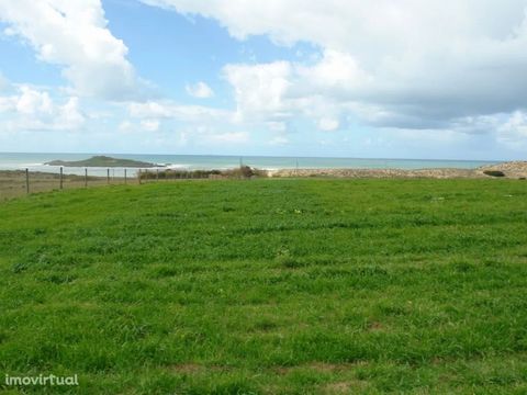Land located a few meters from the beach of Ilha do Pessegueiro. Nearby light, good access and sea views. Energy Rating: Exempt Plot of land situated a few metres from the beach of Ilha do Pessegueiro. Light nearby, good access and sea views. Energy ...