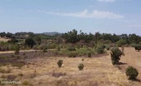Rustic Land with 1.25 ha - Penamacor - Centro - Portugal One of the boundaries of the property is a brook with plenty of water during the winter. The land is flat, ideal for agriculture or simply to live in the countryside, with fantastic views and n...