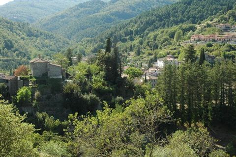 Au milieu des collines verdoyantes de la Toscane se trouve la Casa Le Lole (environ 100 m²) pour 5 personnes, endroit isolé sur une pente avec vue sur Talla !