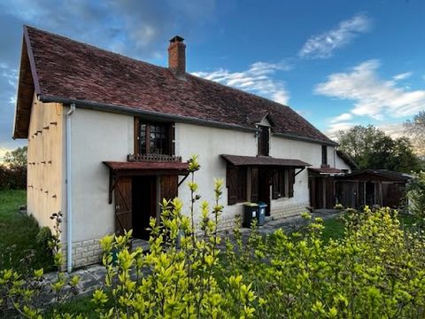 Stéphane LAROBE biedt u op 15 km van Sancoins dit grote huis van 157 m2 met terras, dubbele garage en een perceel van 1000 m2 met waterput. Het heeft op de begane grond een grote woonkamer van 35 m2 met open haard, een slaapkamer, een keuken, een bad...