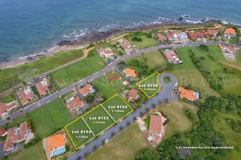 Costa Pedasi is a gated community located in the charming town of Pedasi, situated on the Azuero Peninsula in Panama. This idyllic region is renowned for its stunning Pacific Ocean beaches, world-class surfing spots, and a laid-back atmosphere that a...