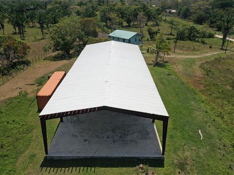 Located in the Mayan rich community of San Pedro Columbia is this 50 acres.  Being just a short 5 minute drive to the Southern Highway and a 20 minutes drive to Punta Gorda, this property is perfectly situated. This property has immediate connectivit...