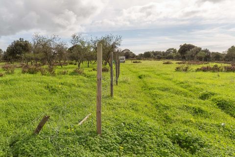 Das rustikale Land in Barão de São João könnte eine leere Leinwand für Ihre landwirtschaftlichen Träume sein. Mit viel Platz, um den Weinberg zu erweitern oder sogar in andere Kulturen zu diversifizieren. Darüber hinaus kann die Lage des Grundstücks ...