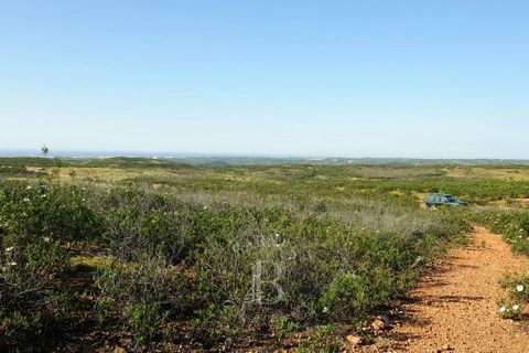 Propriété de 42,6 ha avec une licence pour construire un projet touristique à Tavira, Algarve. Elle se trouve à environ 5 minutes en voiture du centre de Tavira et à moins d'une demi-heure de l'aéroport international de Faro. Le terrain comprend 3 la...